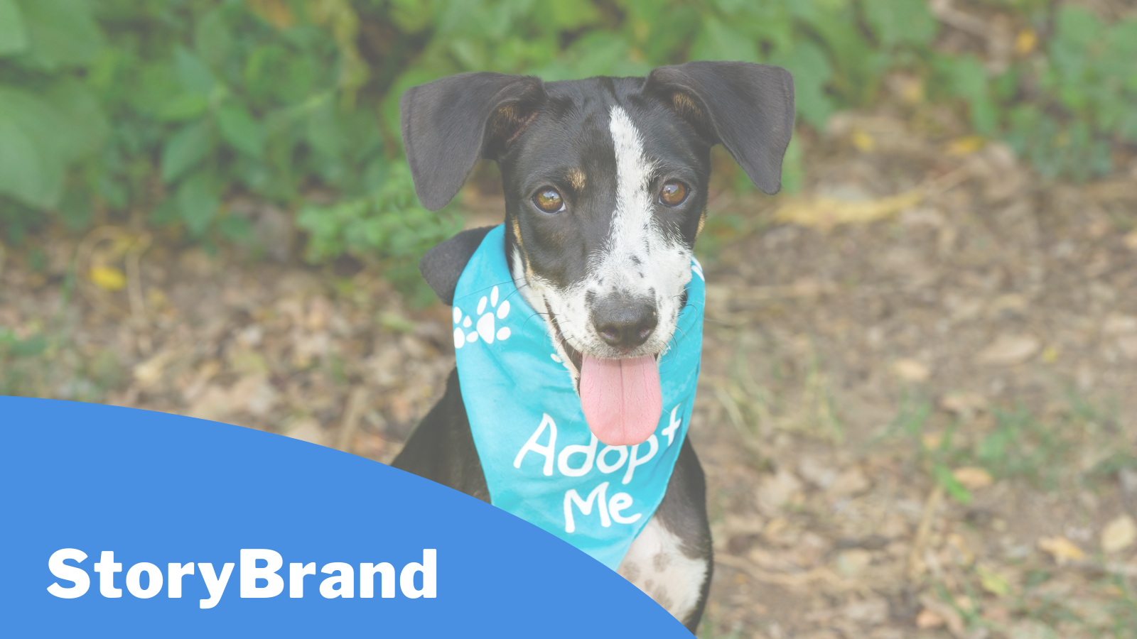 How To Storybrand Your Nonprofit Organization Storybrand For Small