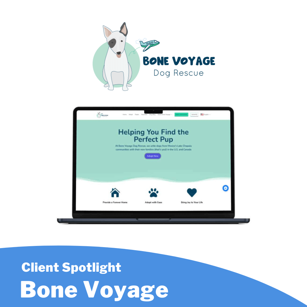 Bone Voyage client spotlight featured image